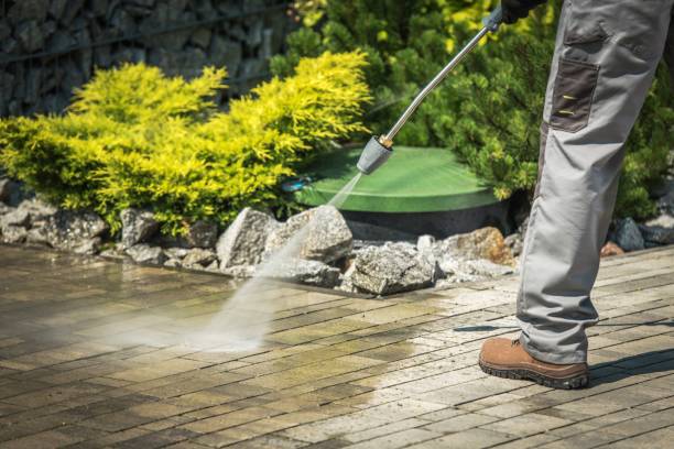 Best Brick and Stone Cleaning in Paynesville, MN