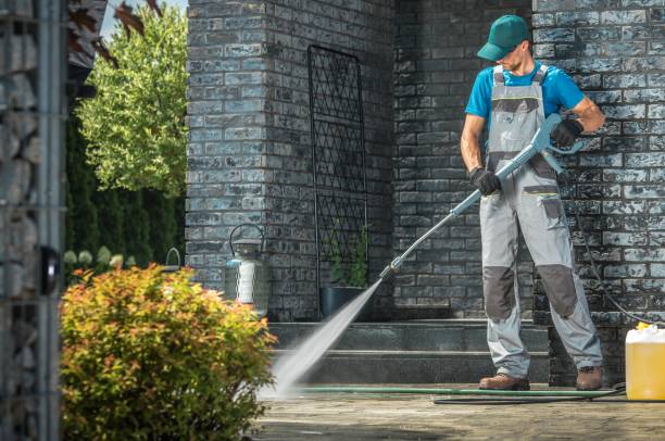 Best Window and Screen Pressure Cleaning in Paynesville, MN