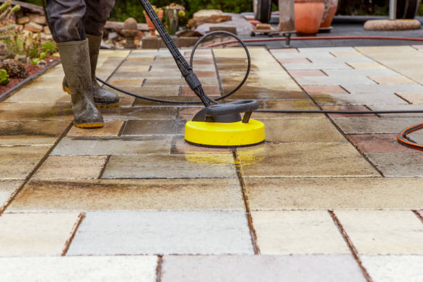 Best Vinyl Siding Pressure Washing in Paynesville, MN
