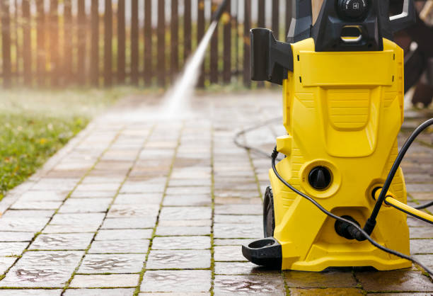 Best Fence Cleaning and Maintenance in Paynesville, MN