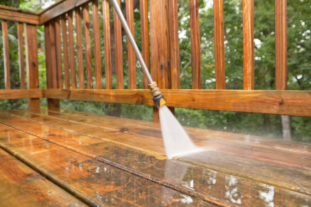 Best Gutter Cleaning and Brightening in Paynesville, MN